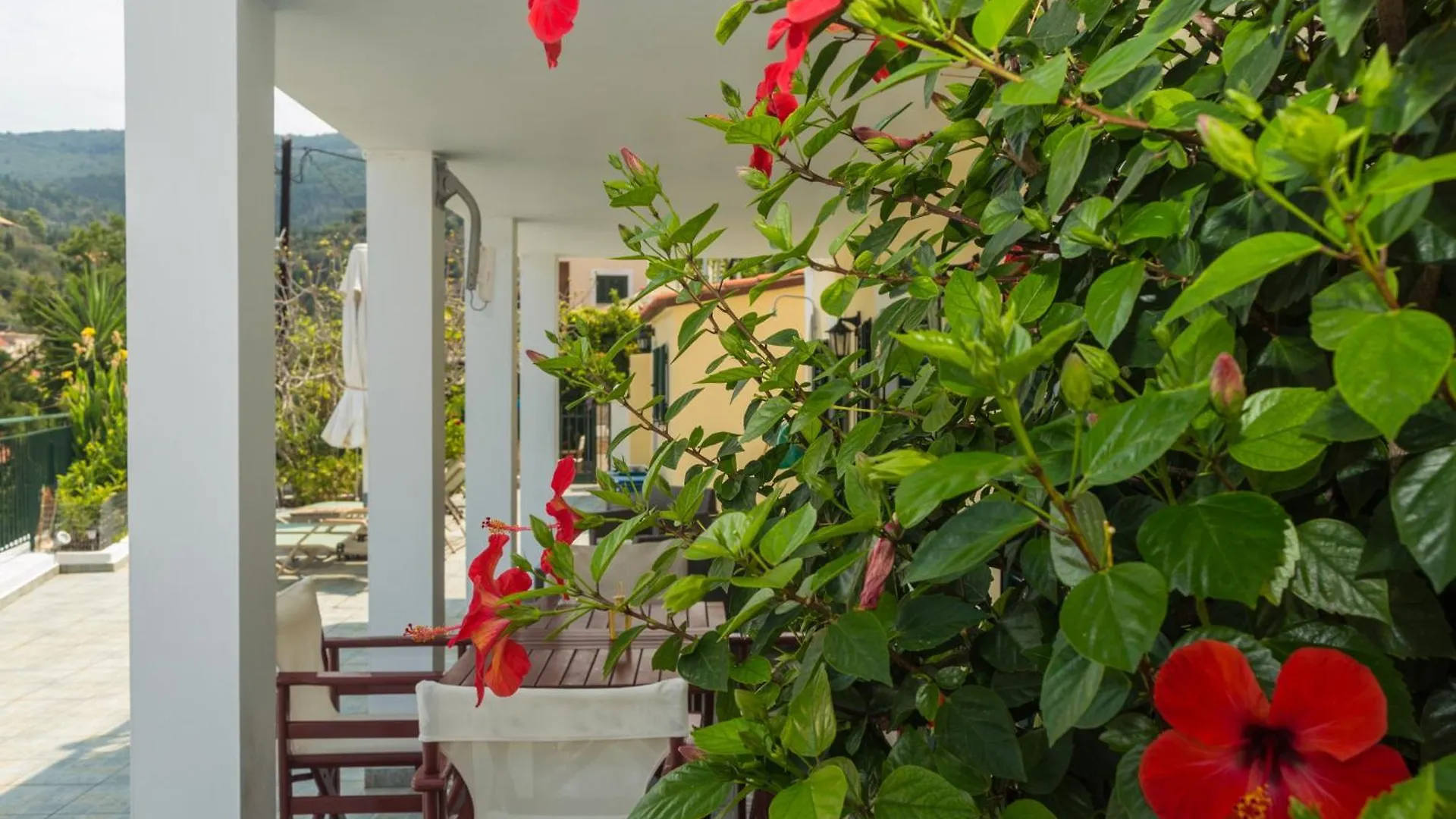 Dionos Villa Asos Dom wakacyjny
