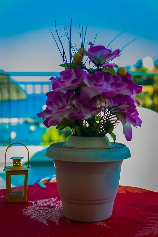 Dionos Villa Asos Greece